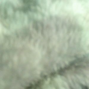 Meet your Posher, Alee